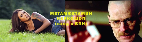 шишки Беломорск