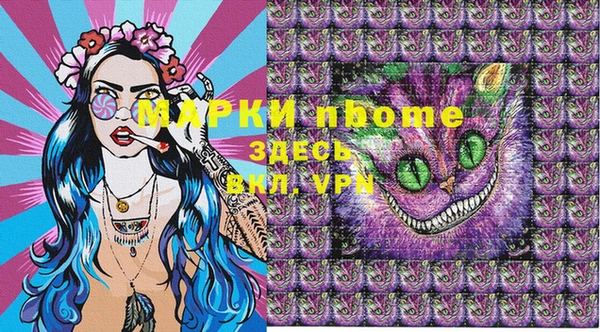 шишки Беломорск