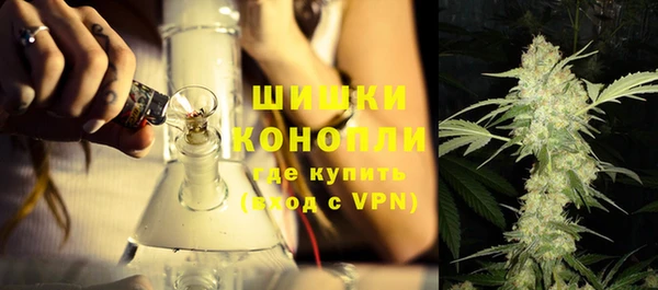 гашик Белокуриха
