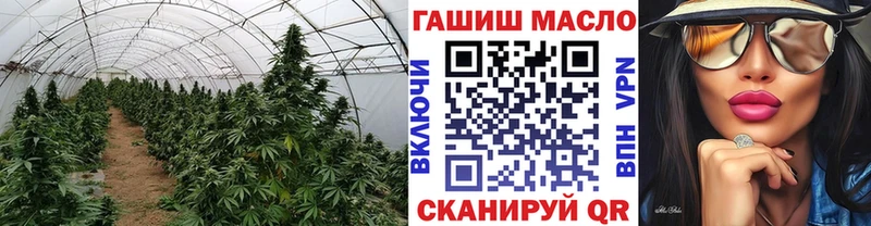 ТГК концентрат  Купить закладки  Чишмы 